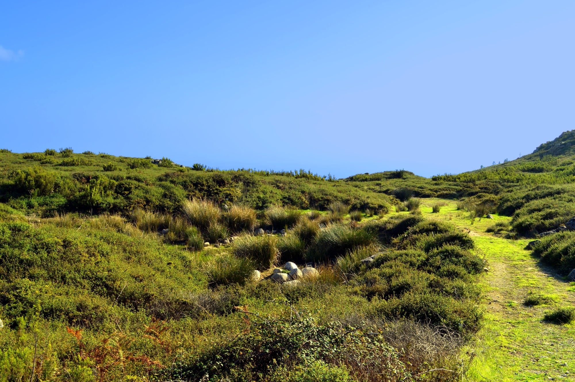 Monchique hiking trail in the Algarve Portugal
